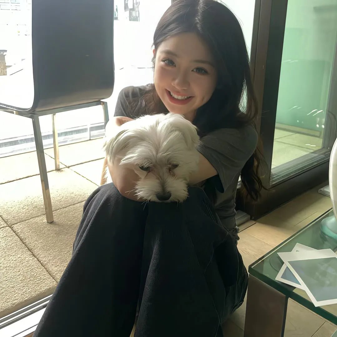 双面艾莉丝