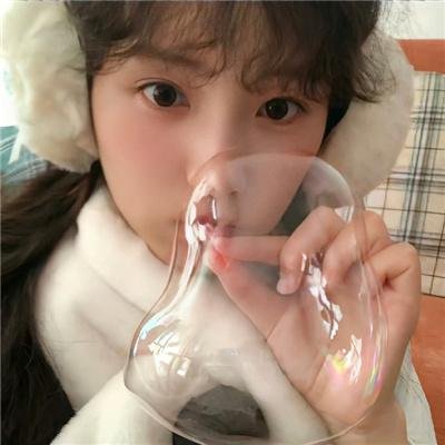 母猫